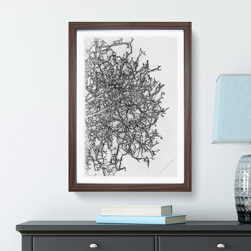 Bare Tree in Abstract - Picture Frame Graphic Art Print, 65cm H x 48cm W x 2cm D, Walnut Framed