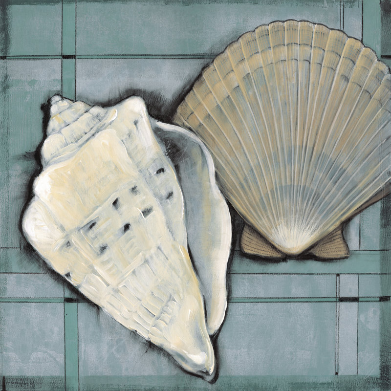 Seashell Sketch II - Wrapped Canvas Print, 30cm H x 30cm W Incorrect