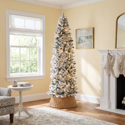 Pencil Frosted 12' Pre-Lit Pine Christmas Tree