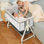 Berceau pour bébé, lit de chevet pour bébé avec roues et panier de rangement, berceau portable en maille pour nouveau-né, lit de chevet facile à assembler à 6 hauteurs réglables