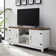 Neelon 58" 2-Door TV Stand for TVs up to 65"