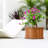 Barros Outdoor Wood Planter Box-1982443291