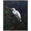 The Elegant Egret Painting-49510684