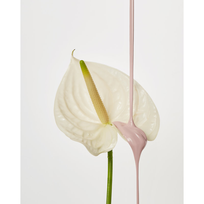 La Rose Jar Candle