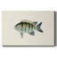 Toile tendue collection Tropical Fish Collection VI-Gallery-78548440