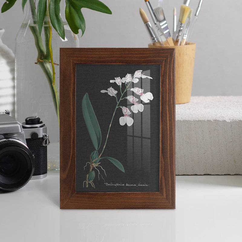 Orchid On Slate VI " Orchid On Slate VI ", 7" H x 5" W x 1" D, Chestnut