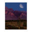 Toile de cactus dans les montagnes, design par Renel Peters-1372639952