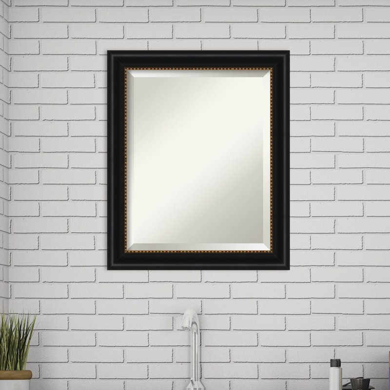 Miroir de salle de bain mural biseauté Quandt, 24 po x 20 po