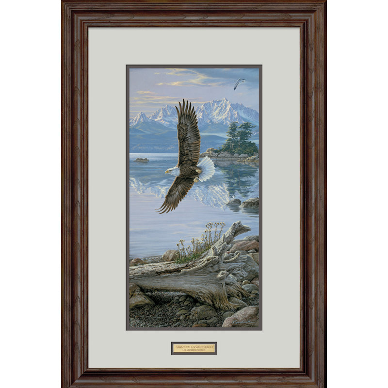 « calling-bachauvee eagle » par lee kromschroeder, reproduction d’art encadrée
