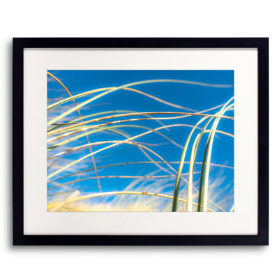 Dune Grasses Print by Petra Trimmel