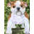 Bulldog