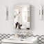 Armoire à pharmacie en aluminium 16 po x 24 po avec miroir, tablettes réglables, charnières silencieuses, armoire de rangement argentée facile à assembler pour les articles de toilette, grande capacité