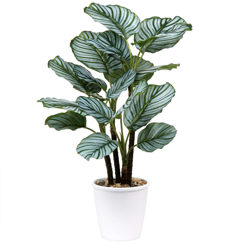 Ajala 63cm Faux Plant