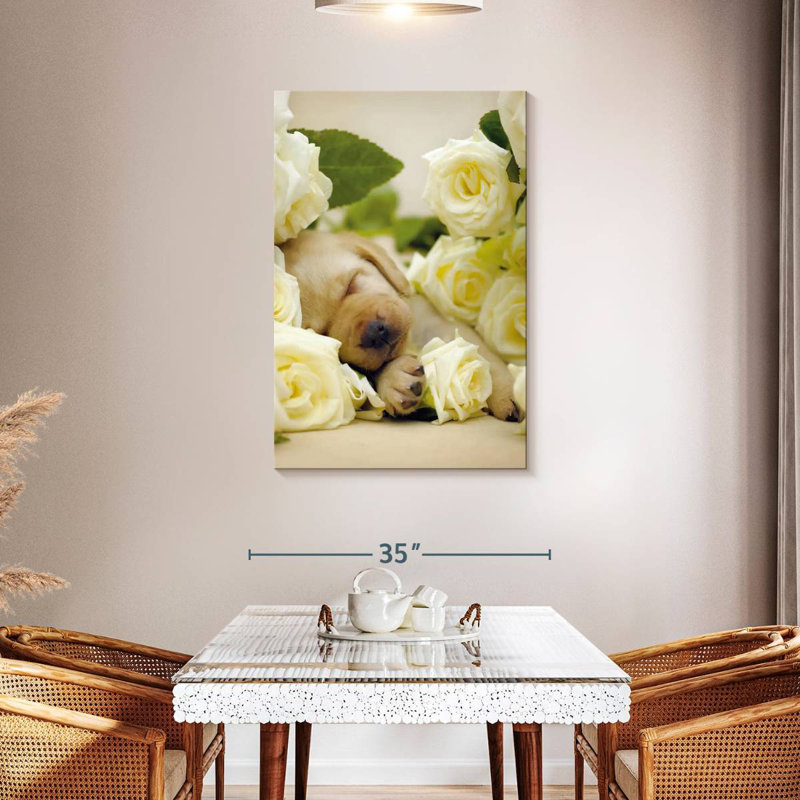 Brampt Oscar I, 45" H x 30" W