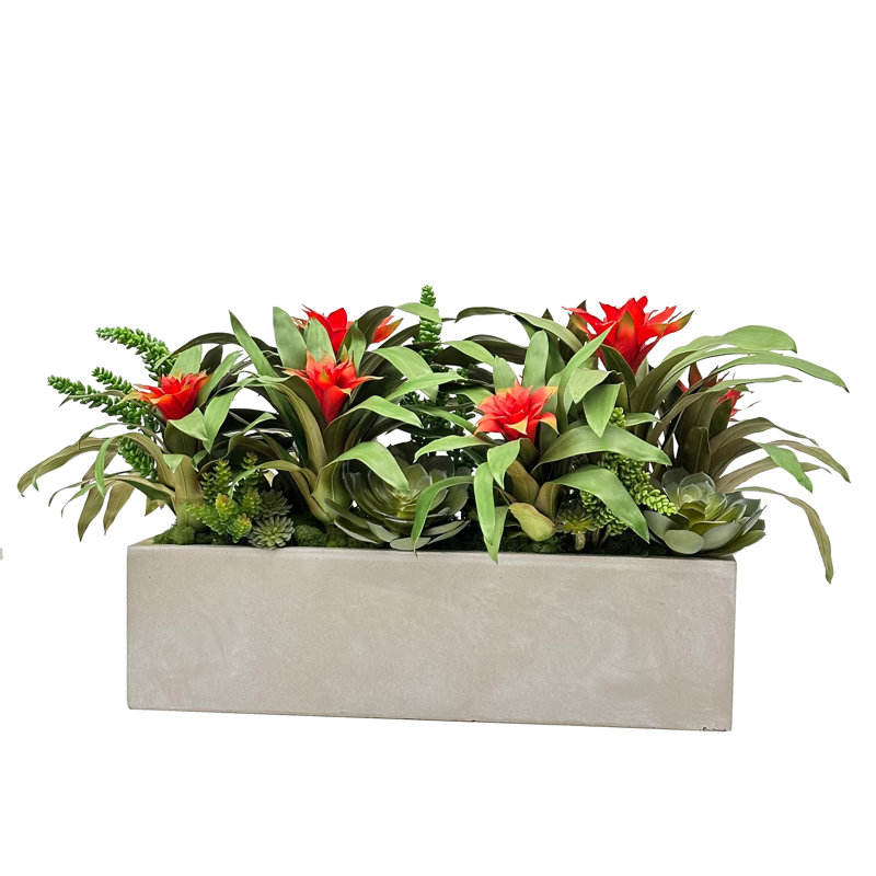 BROMELIAD SUCCULENT IN RECTANGLE PLANTER