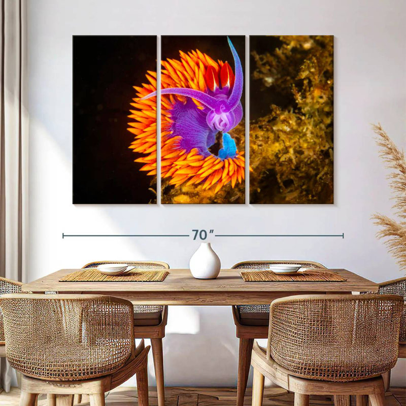 Spanish Shawl Nudibranch