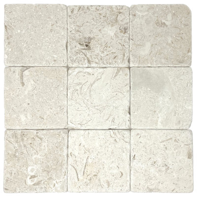 Fossil Stone 4" x 4" Limestone Tile