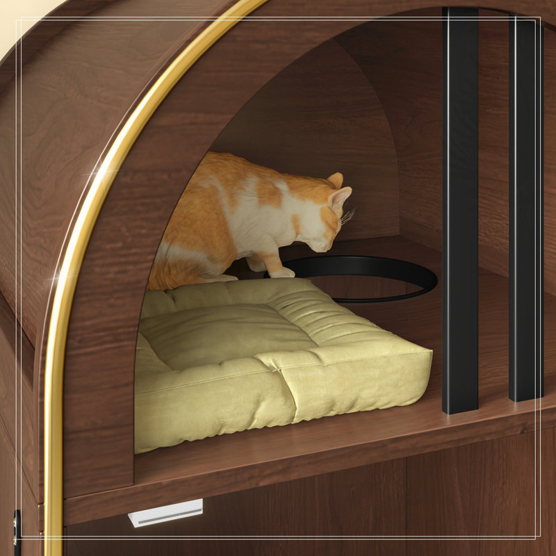 Lit pour chat 2 en 1, litière pour chat