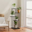 5-Tier Plant Stand Plant Display-1287188589