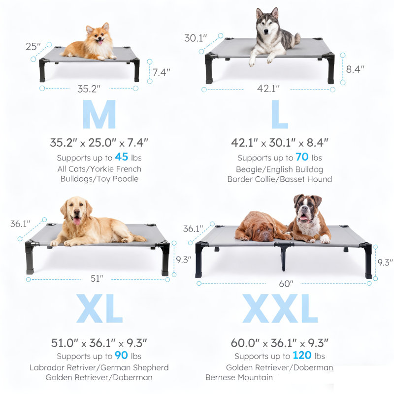 Lit pour chien Cooling Elevated, H 9,3 po x l 51 po x P 36,1 po, Tanné