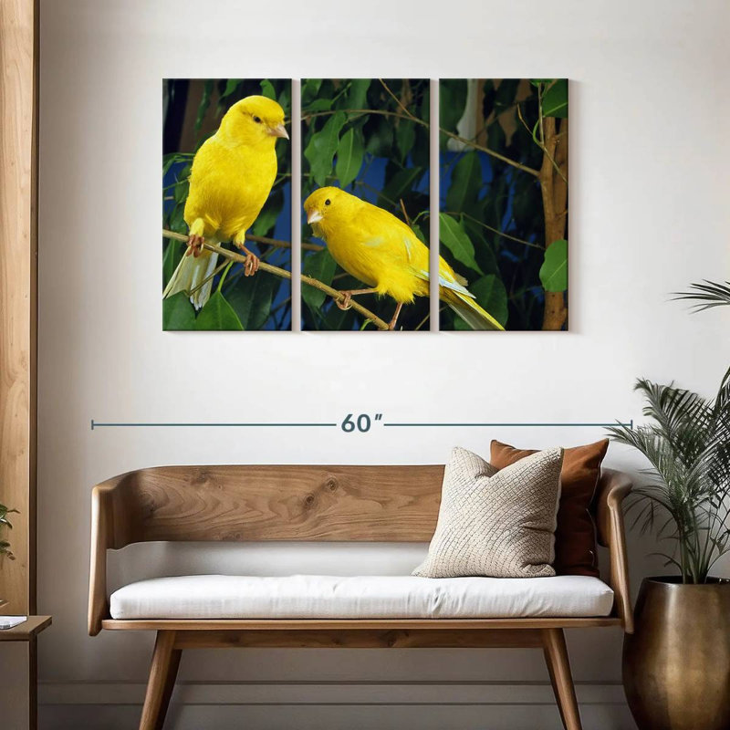 Canari Brampt, H 28 po x l 45 po