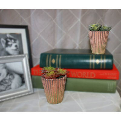 Ensemble de 2 plantes grasses en pot et poussin en pot