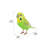 Budgerigar with Iron Foot Statue