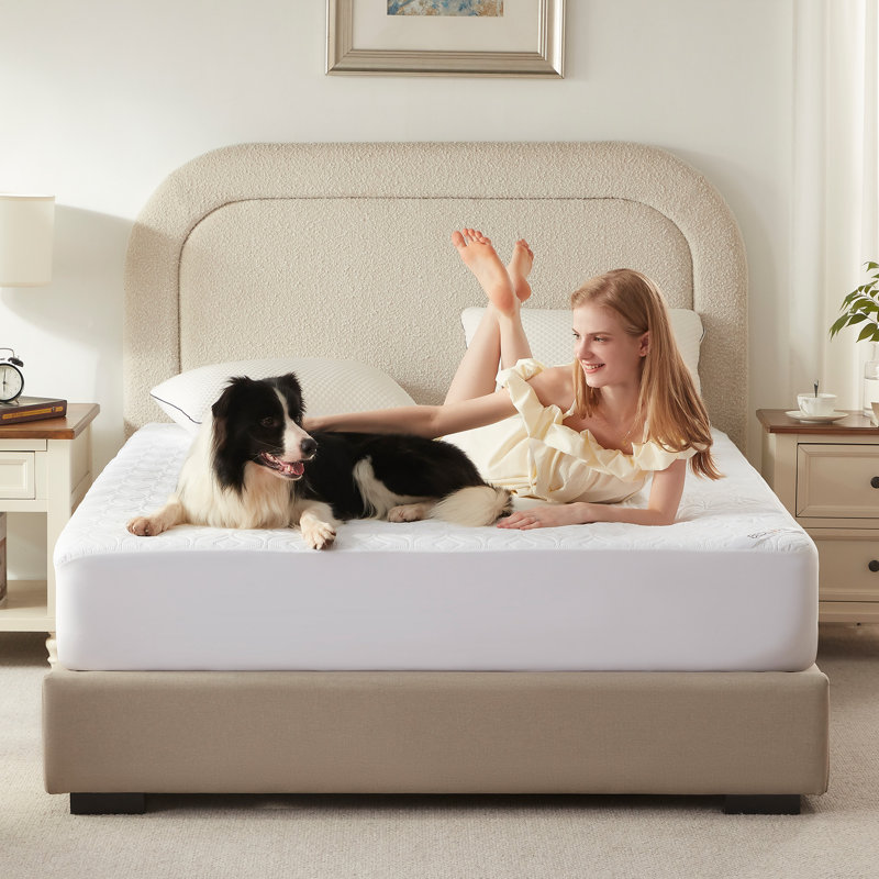 BEDLORE® (Pack of 2) Waterproof Noiseless Mattress Protector, Hypoallergenic Quilted Washable Mattress Cover, Breathable Mattress Pad With 6-18'' Deep Pocket