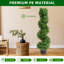 90cm Plant