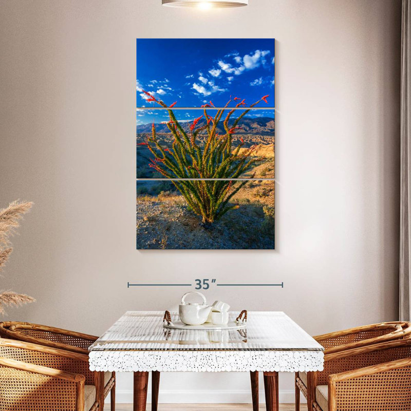 Ocotillo In Anza Borrego