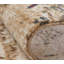 Hoddesd Abstract Area Rug in Ivory-144641652
