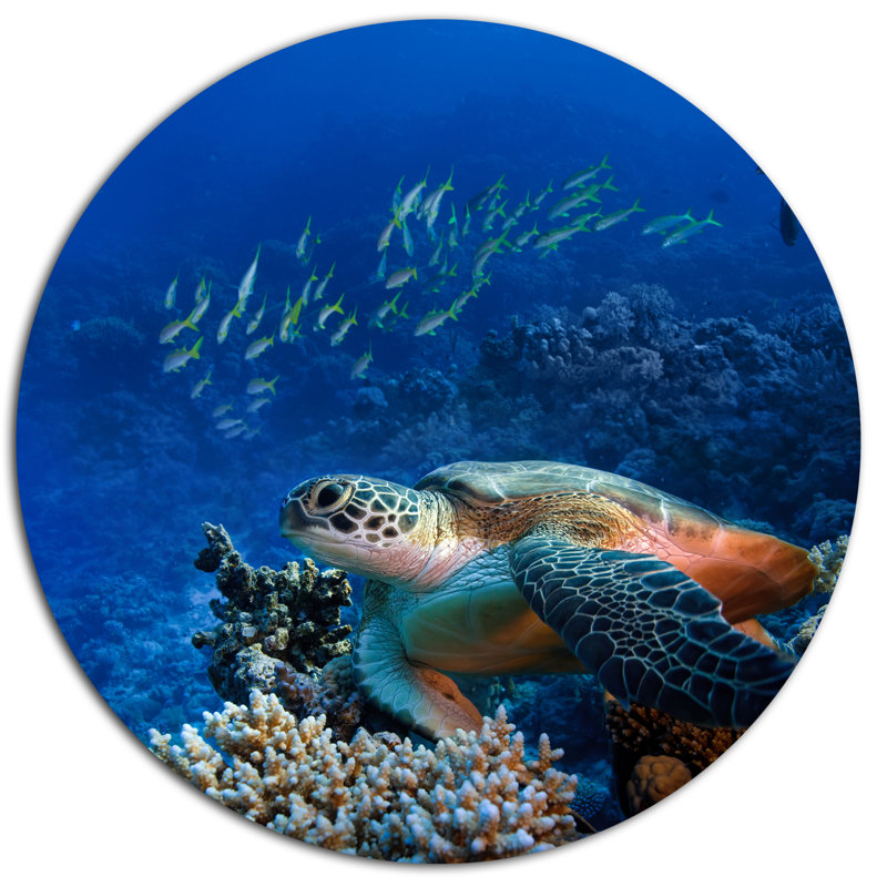 «Sea Turtle underwater», reproduction de photo sur métal, H 36 po x l 36 po