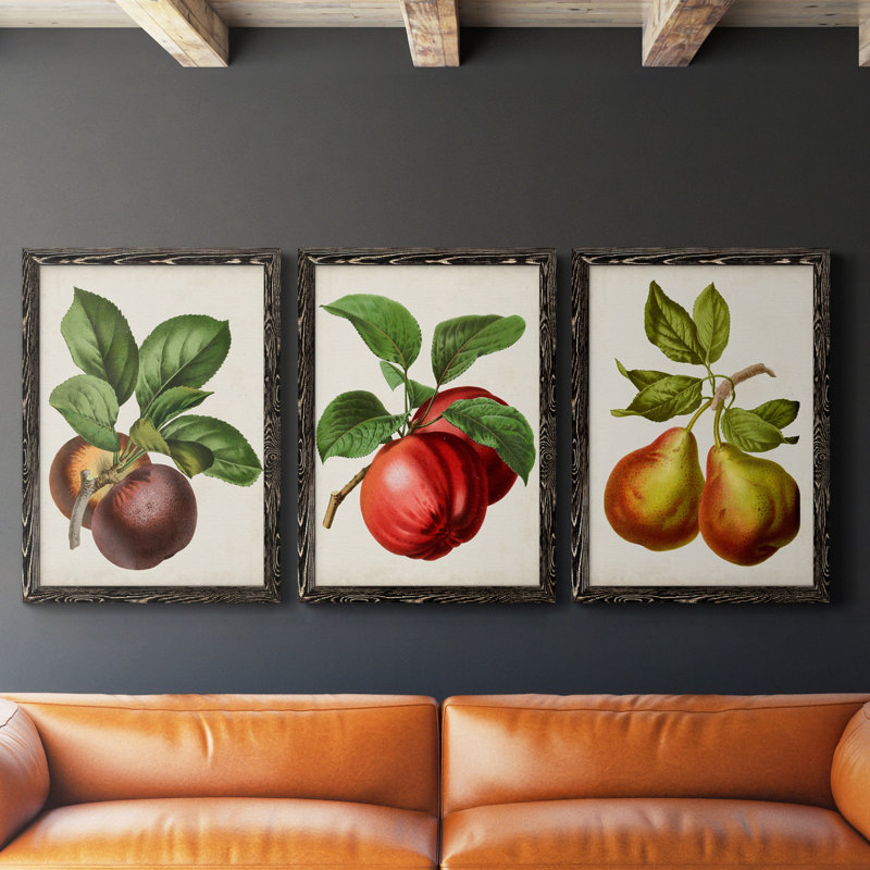 Antique Fruit IX - Ensemble de 3 peintures sur toiles encadrées, Toile avec cadre noir, H 43,5 po x l 31,5 po x P 1 po