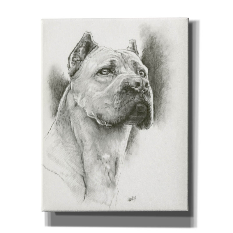 'Dynamic' by Barbara Keith, Canvas Wall Art, 34" H x 26" W