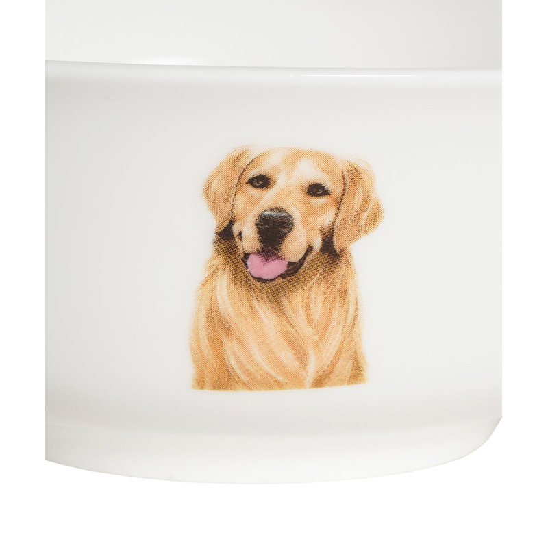 Bol en porcelaine - Golden Retriever