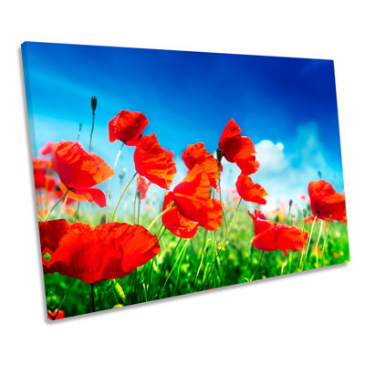 Poppy Field Summer Flowers - Wrapped Canvas Art Prints