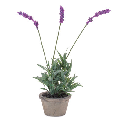 Potted Lavender 14.5 IN H
