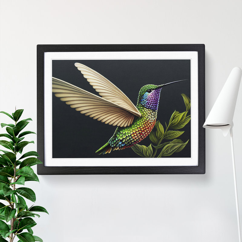 Illuminated Hummingbird - Single Picture Frame Print, Black, 46cm H x 64cm W x 2cm D