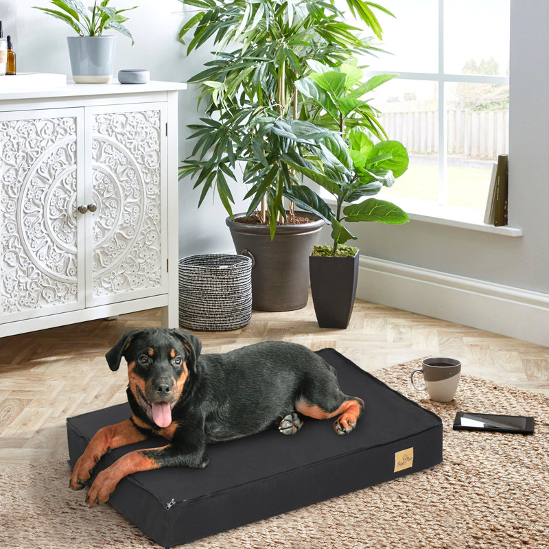 Orthopedic Pet Bed, 8cm H x 58cm W x 45cm D