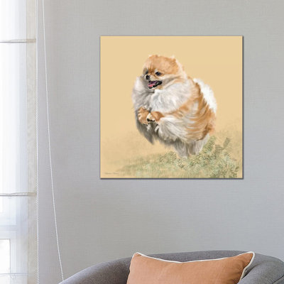 Pomeranian by Vicki Newton - Wrapped Canvas Print
