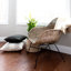 Fauteuil demi-tonneau de 25,19 po Galen