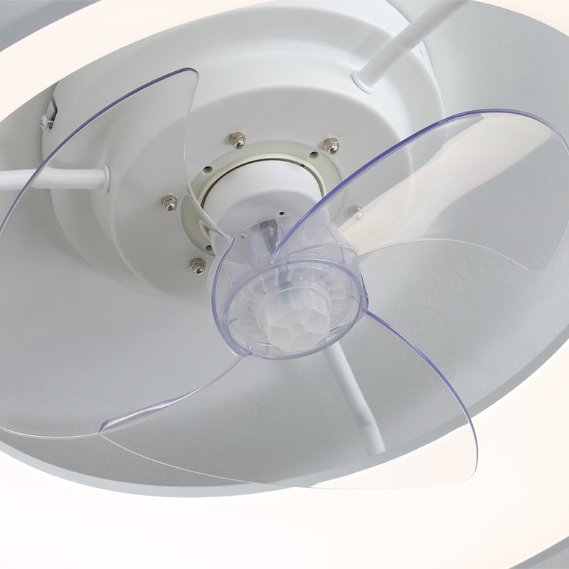 Ceiling Fan with LED Lights