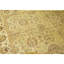 Hand Knotted Wool Area Rug in Light Green And Ivory