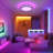 Bird's Nest Dimmable Integrated LED RGB Flush Mount -270720959