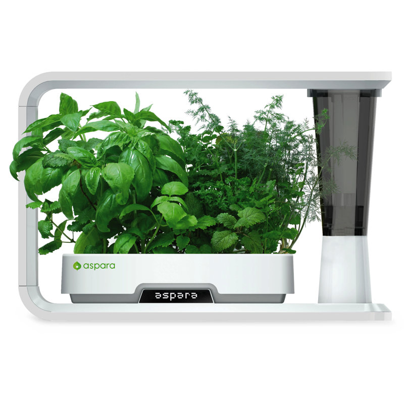 Aspara Hydroponic Unit
