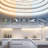 RibbonFlex Pro 24V Tunable White COB LED Strip Light Tape, 240 Lumens/Ft, 10M