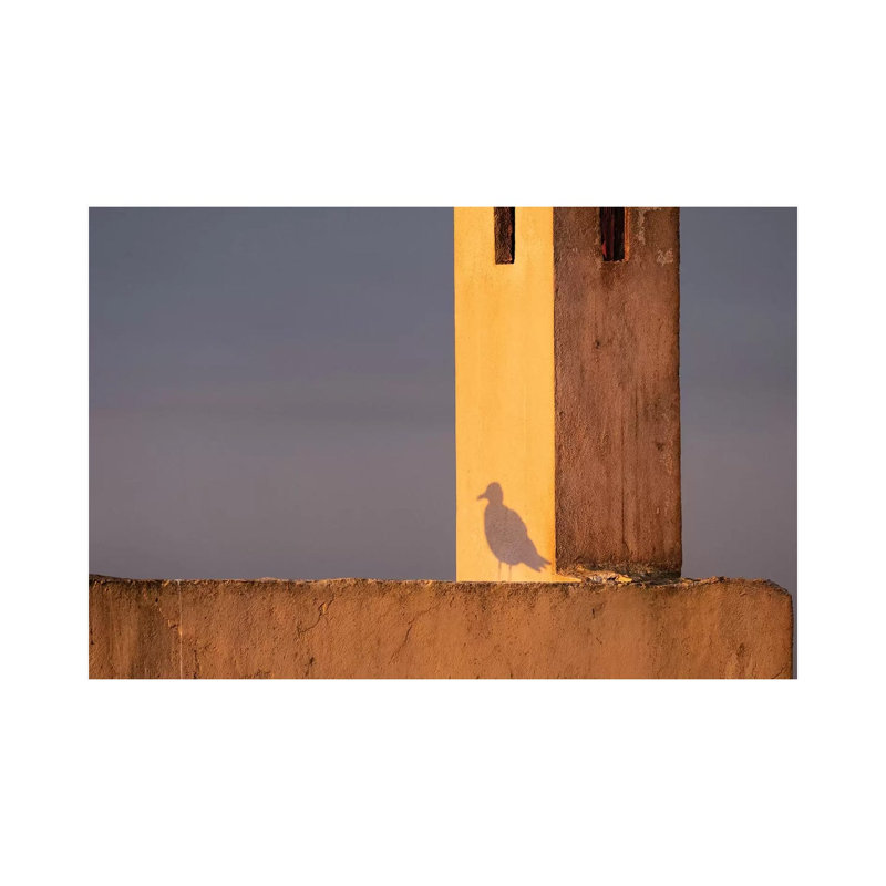 Africa, Morocco, Essaouira by Jaynes Gallery - Wrapped Canvas Gallery-Wrapped Canvas Giclée, 66.04 cm H x 45.72 cm W