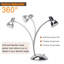 Comesanas Desk Lamp