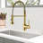 GAWEZA Pull Down Kitchen Faucet