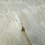 Faux plâtre ondulé beige texturé beige moderne texturé